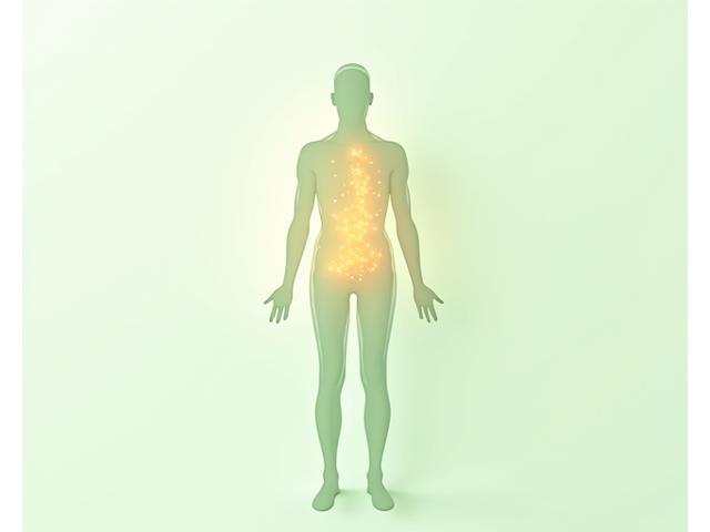 O reprezentare schematică a corpului uman cu zone iluminate care indică impactul stresului: creier, inimă, stomac, suprarenale